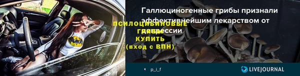 скорость Бородино