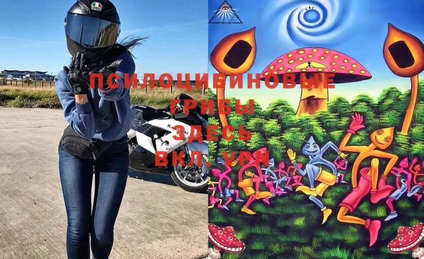 ECSTASY Бронницы