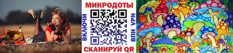 Псилоцибиновые грибы мухоморы  продажа наркотиков  нарко площадка официальный сайт  Крым 